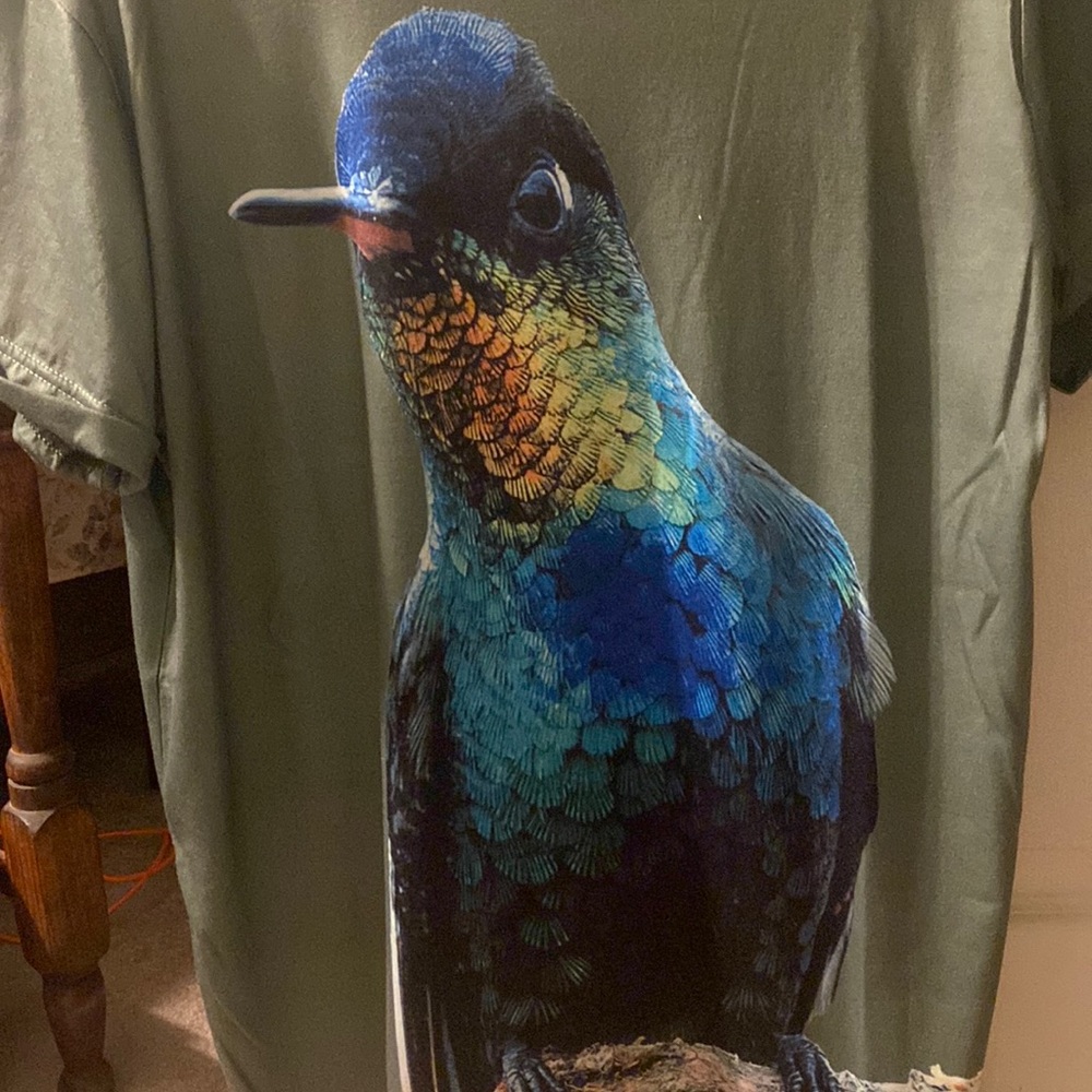 Short sleeve pull-over T-shirt. Has beautiful hummingbird  picture on the front.
